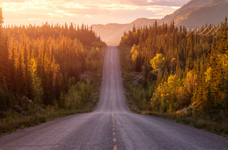 long road with trees on both sides during a sunset