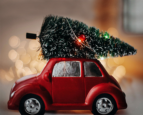 How to Transport a Christmas Tree