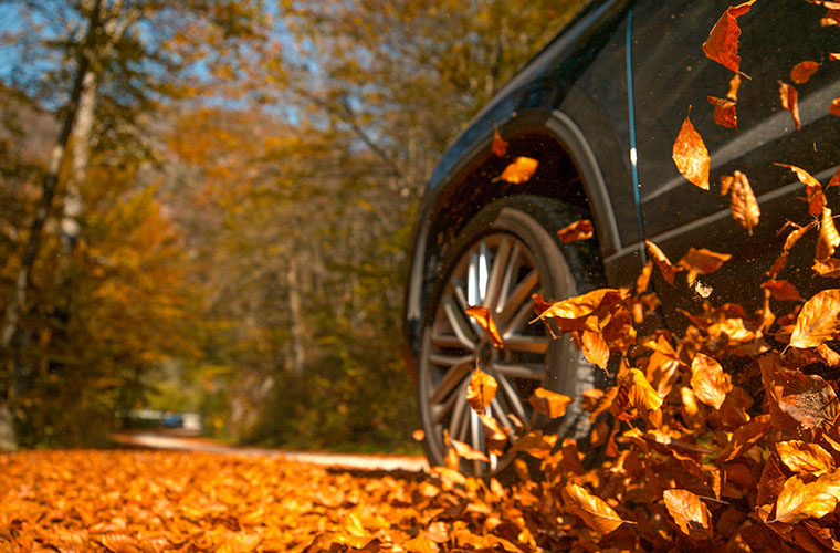Truck driving through orange autumn leaves