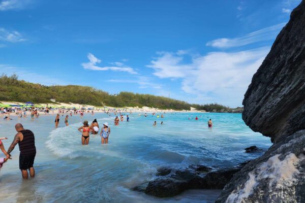 horseshoe bay beach in bermuda 