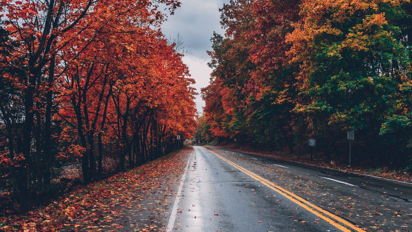 road in autumn