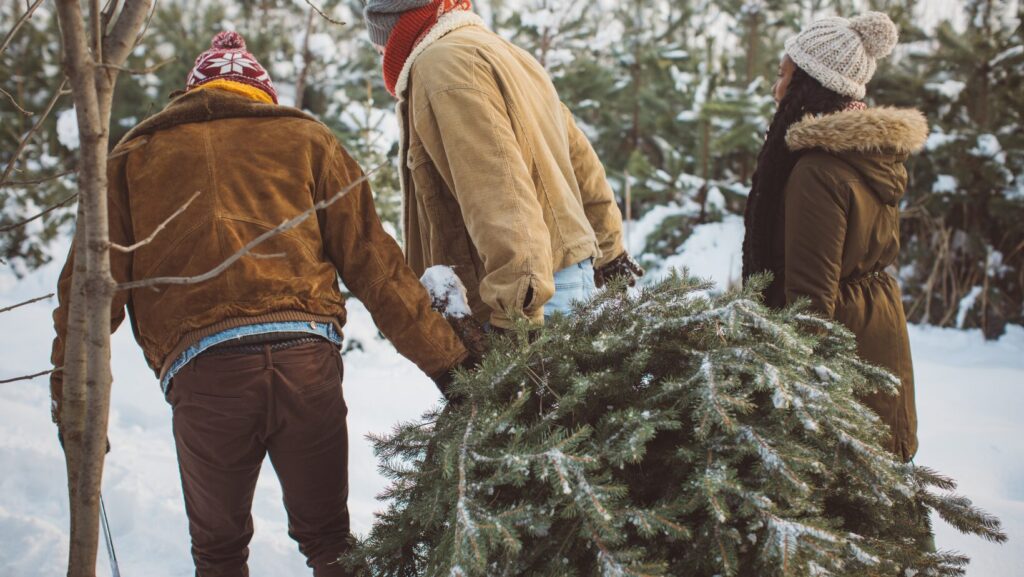 Friends Picking Out a Christmas Tree at a Lot
